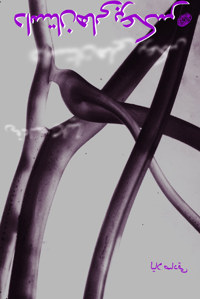 داستان های برعکس اثری از لیلا صادقی