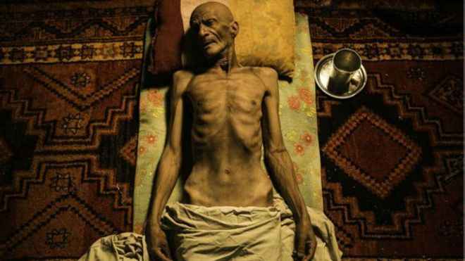 «ممیرو» و «درخت گردو» برنده جایزه جشنواره فیلم پوسان شدند